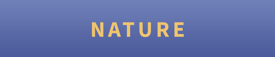 Sounds by Golden Air Production Nature
