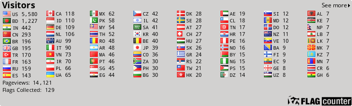 Flag Counter