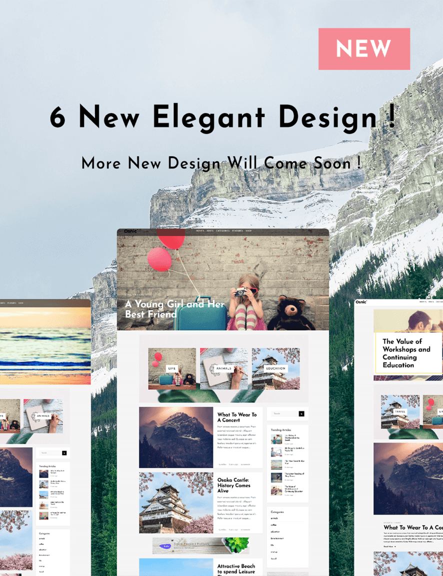 Woocommerce Themes