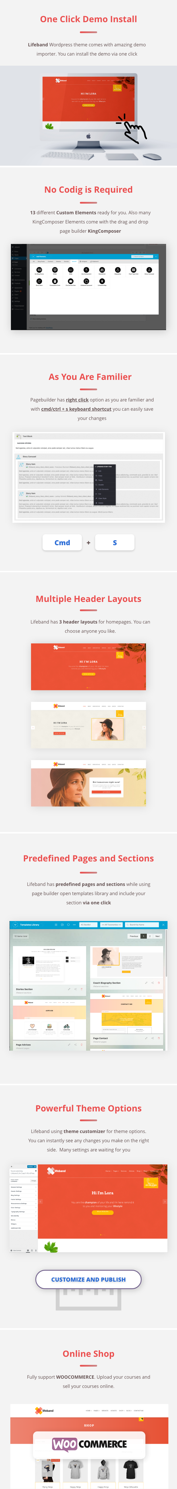 Lifeband - Life Coach WordPress Theme - 2