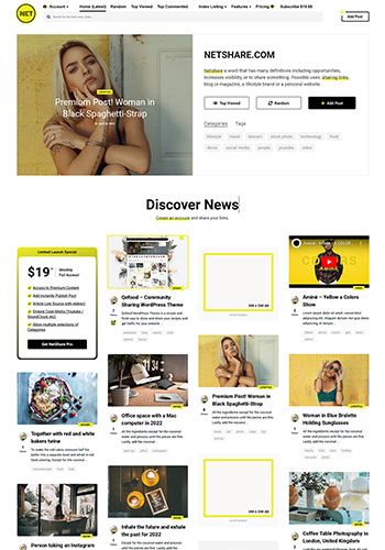 Netshare - Paywall & Content Sharing WordPress Theme - 1
