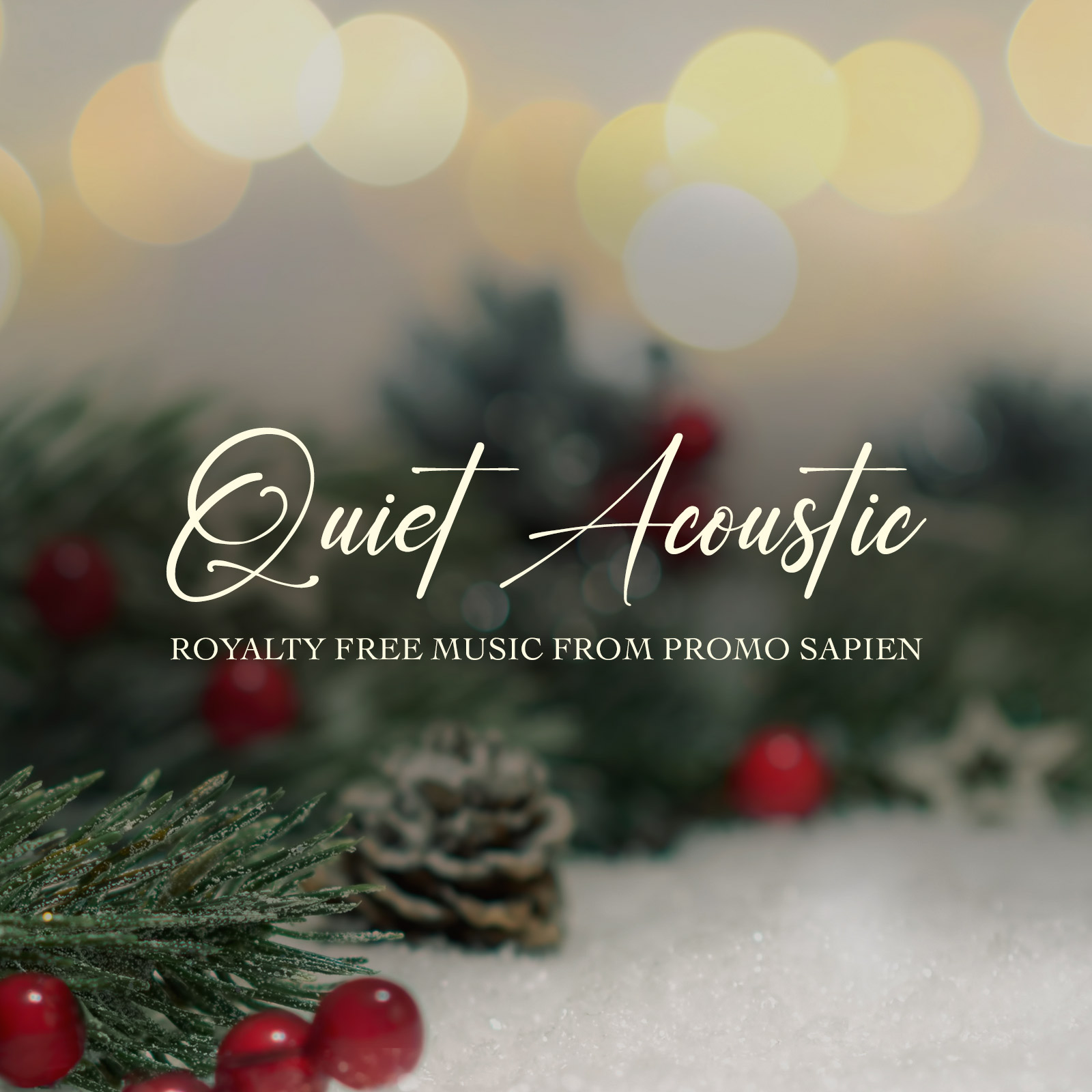 Quiet Acoustic by Promo Sapien