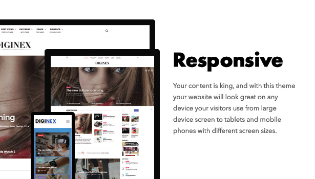 Diginex is responsive