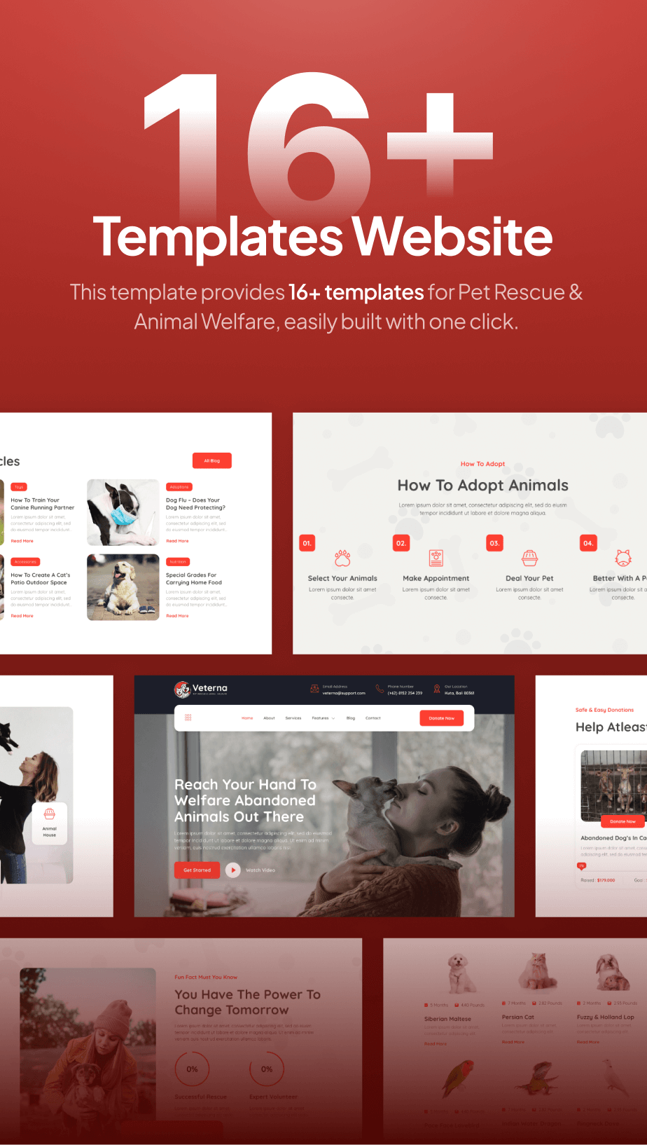 Veterna – Pet Rescue & Animal Welfare FSE WordPress Theme - 4