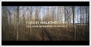 Forest Walkthrough