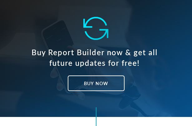 Report Builder add-on for wpDataTables - Generate Word DOCX and Excel XLSX documents - 6
