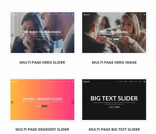 Skywell - MultiPurpose Adobe Muse Template - 20