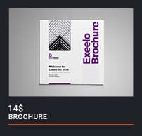 Brochure - 58