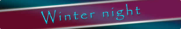 Winter night