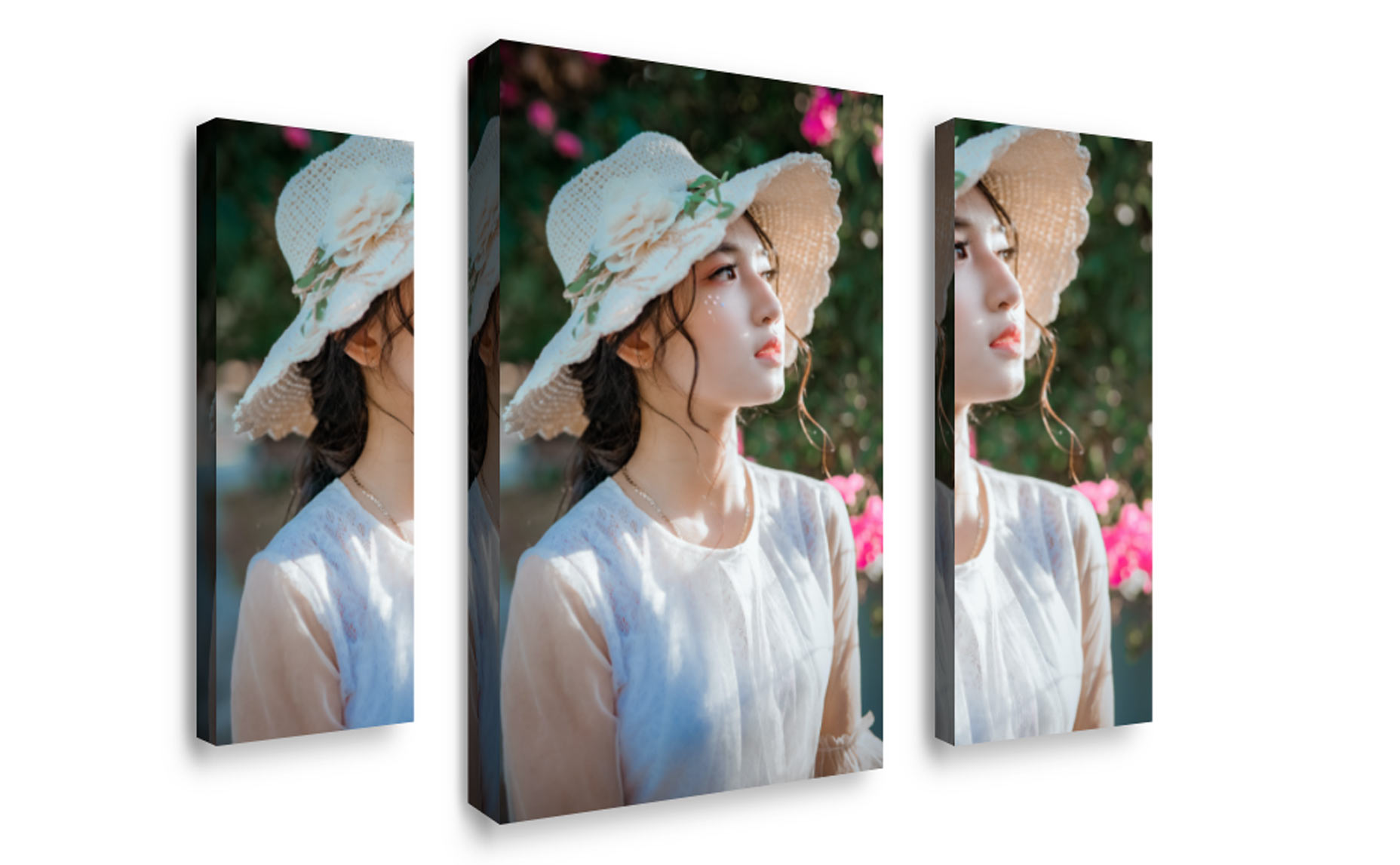 Sky Addons Portion Effect Widget Screenshots-8