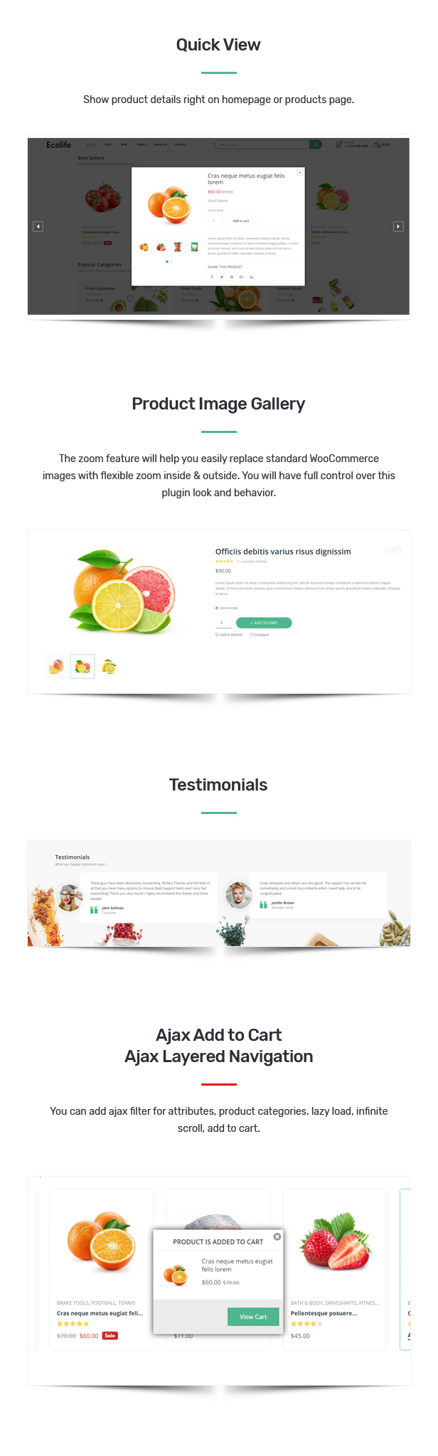 Woocommerce Themes
