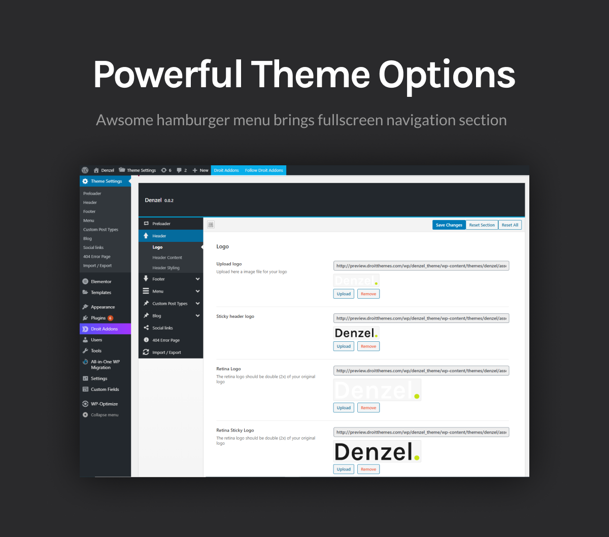 Theme_options