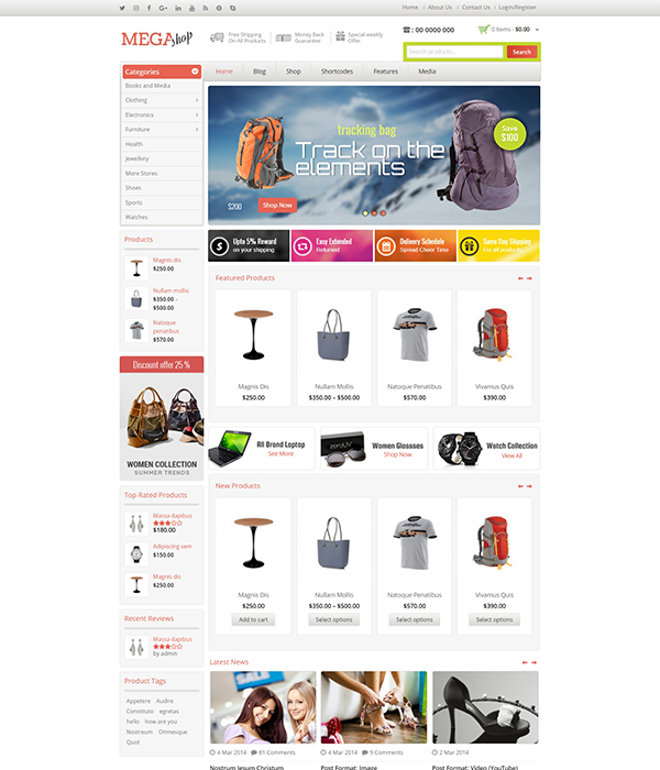 best wordpress theme