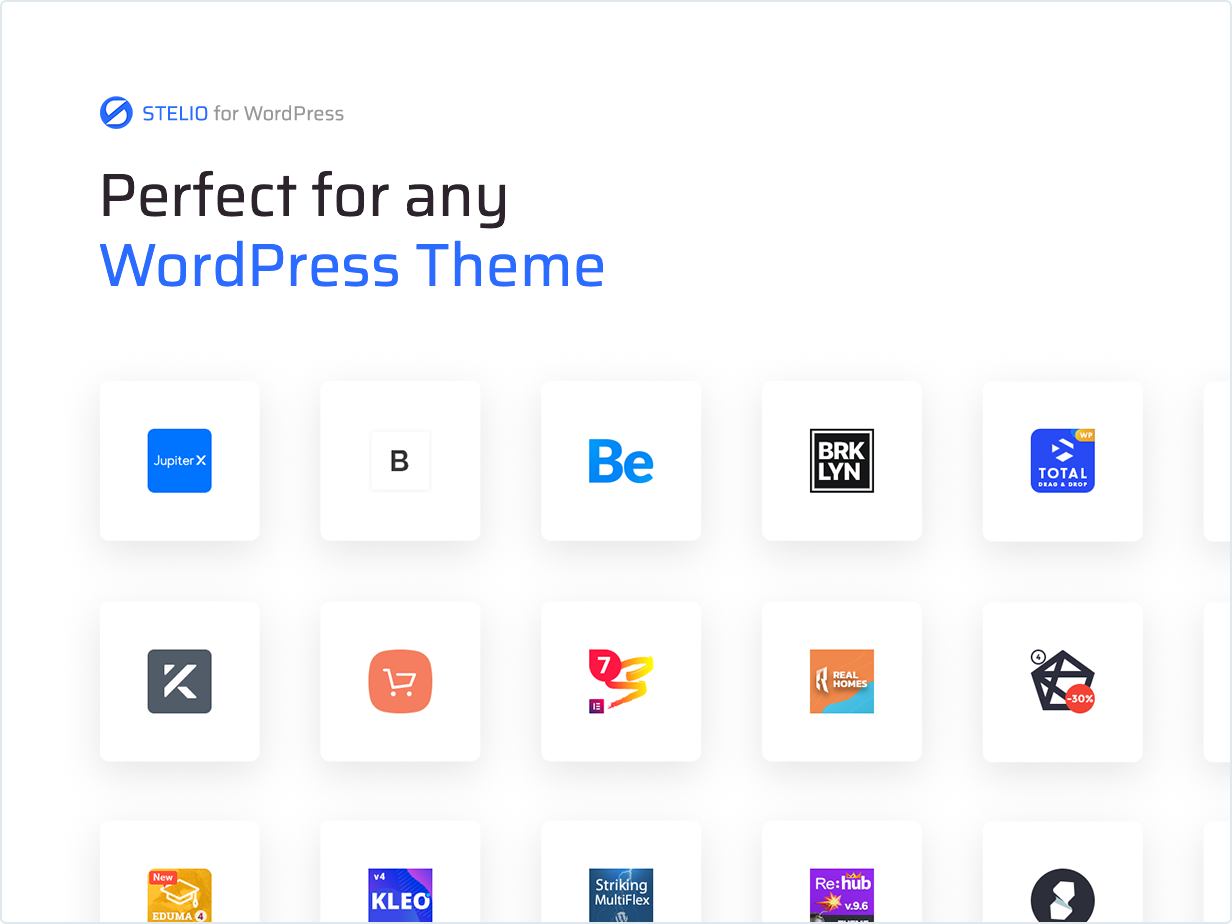 Perfect for any WordPress Theme