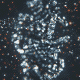 kk3bb5f.gif
