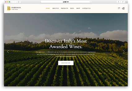 Jollyany | Multi-Purpose Joomla 5 Template