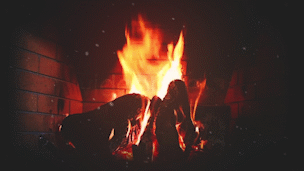 Webp-net-gifmaker-20