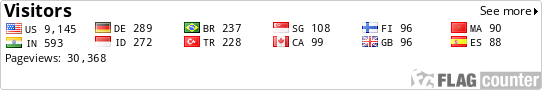 Flag Counter
