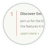 Emerix theme - Homepage style