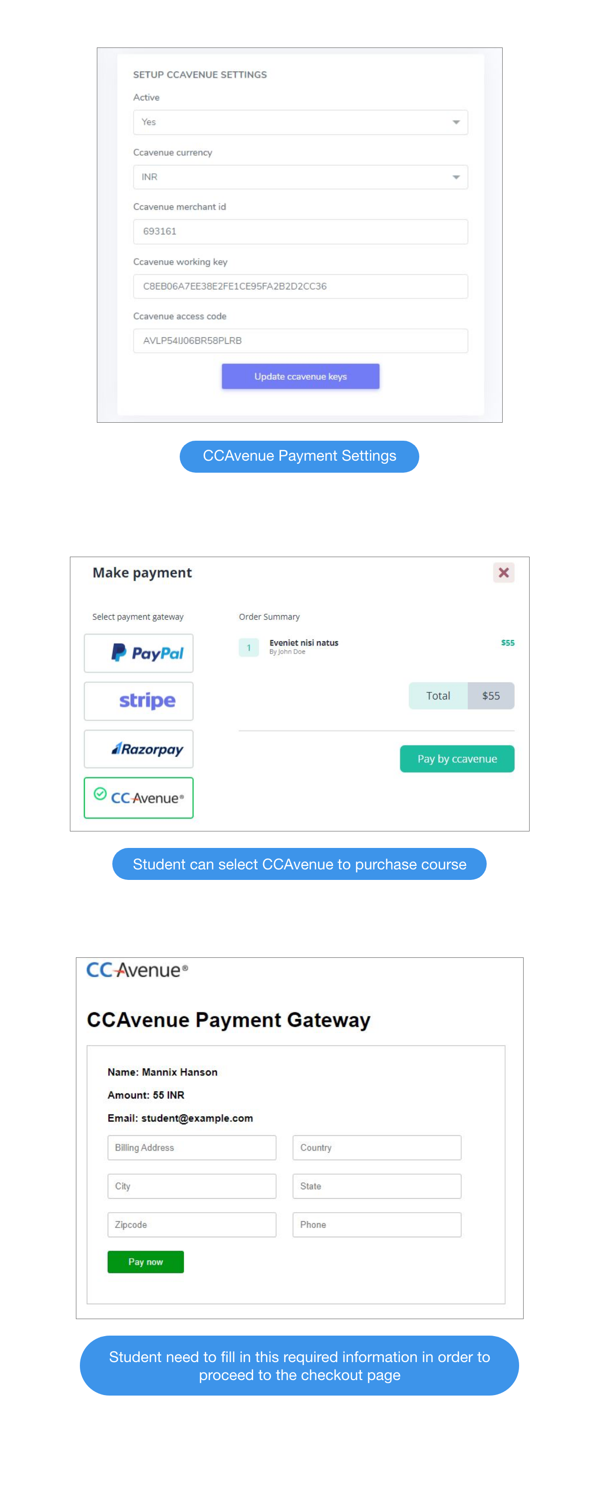 Academy LMS CCAvenue Payment Addon - 1