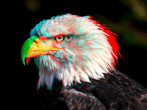 Glitch Animated Action - 2