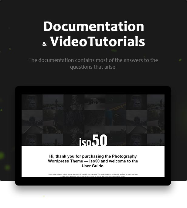 Iso50 - Tema WordPress de Fotografia - 8