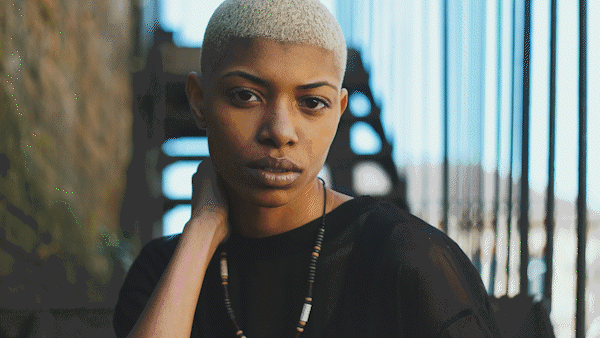 Paper Transitions | Big Pack - 83