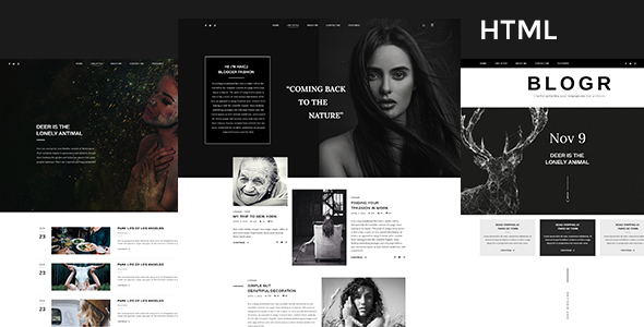 BLOGR - HTML Template for Special Bloggers
