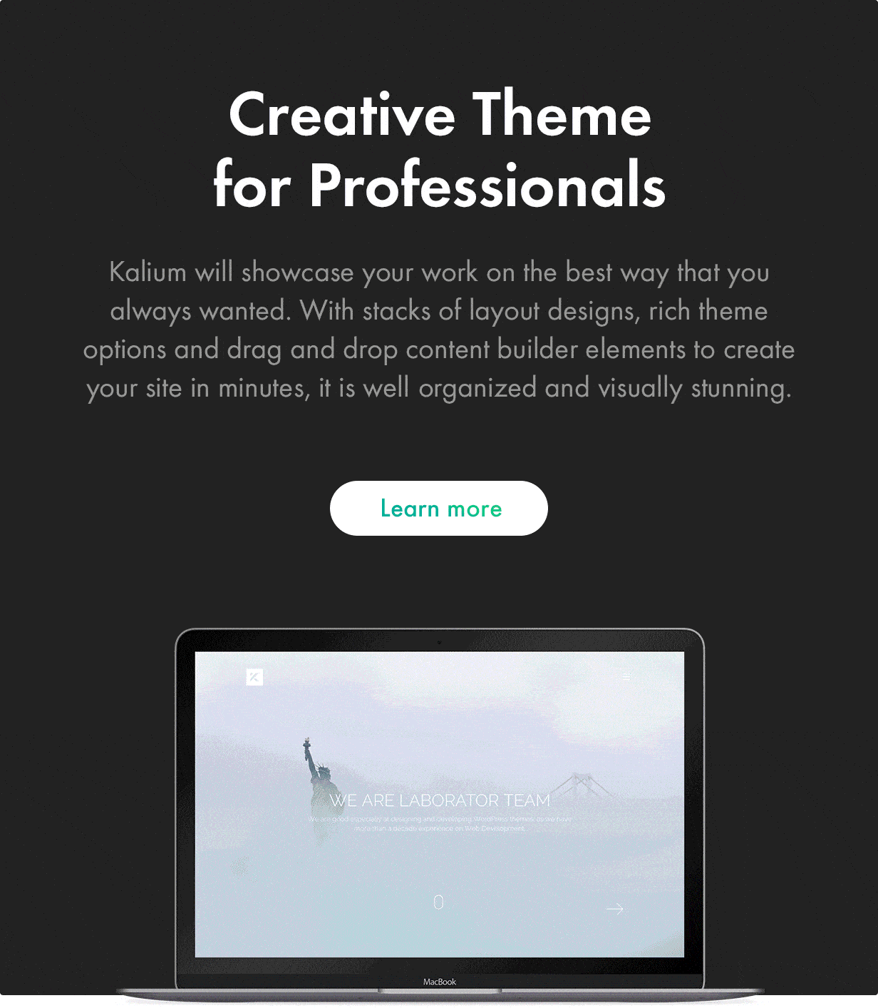 Kalium — Profesyoneller için Yaratıcı Çok Amaçlı WordPress Teması