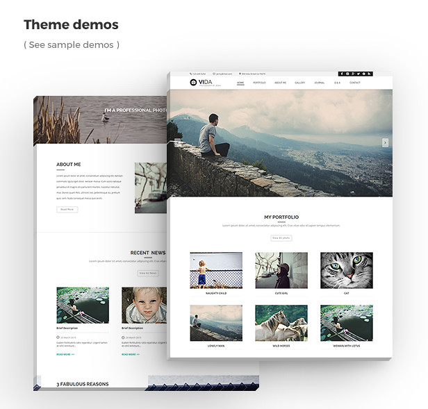 Vida - Multipurpose Muse Template by MaximusTheme | ThemeForest