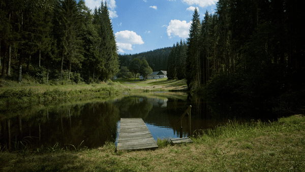 Testimonials 3D Pack 54657142 - Project for After Effects (Videohive)