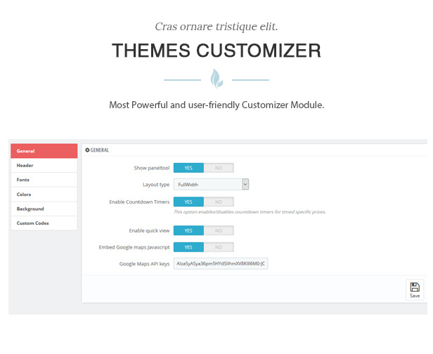 des_05_themes_customizer