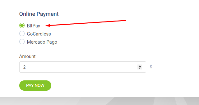 Bitpay Payment Gateway for Perfex CRM - 1