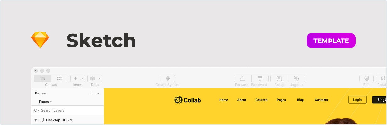 Collab – Online Learning Platform Template for Sketch
