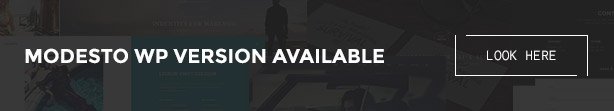 Modesto - Power Unique Portfolio, Photography & Agency HTML Template - 1