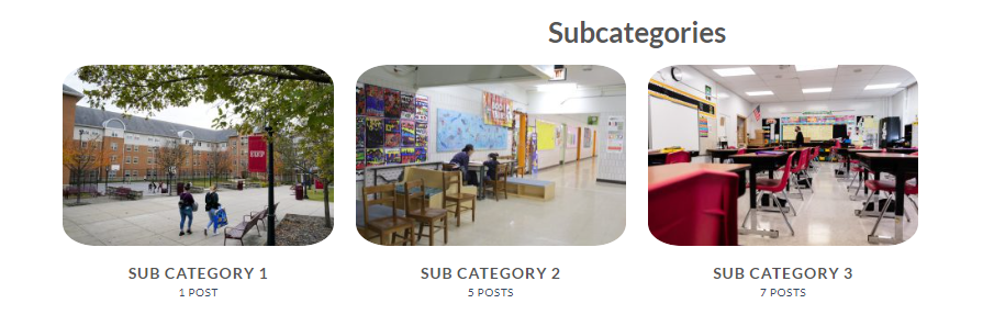 Subcategories UX Builder