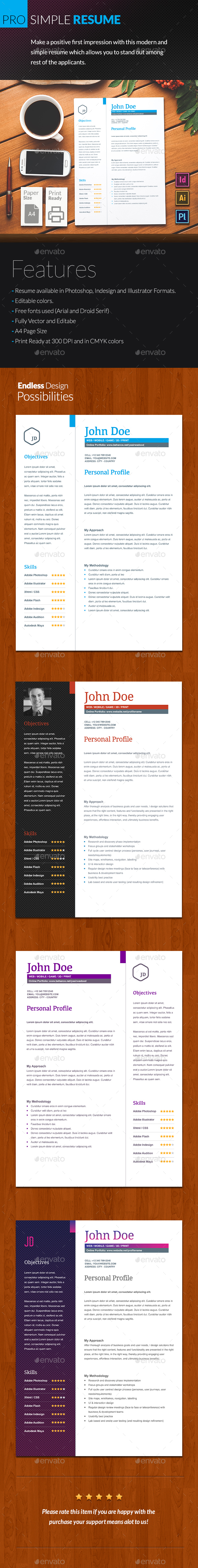 Professional Resume - Download