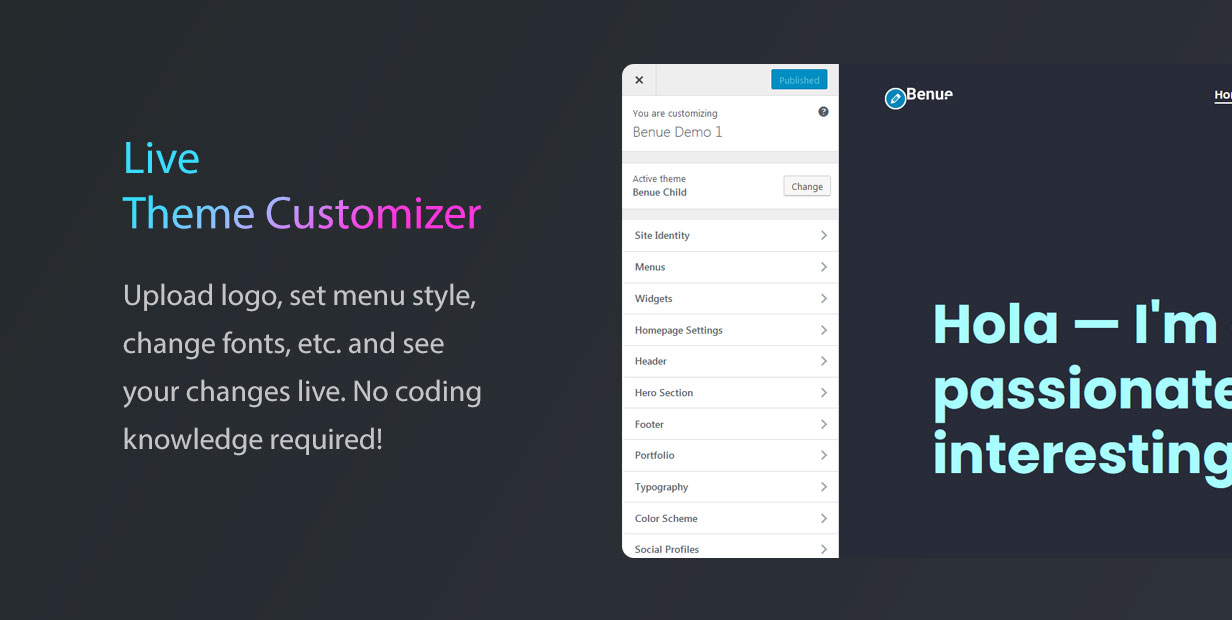 Benue WordPress Theme Options