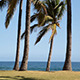 Palm Beach and Sea