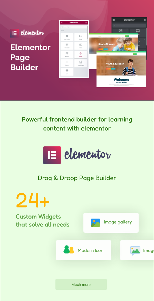 Education WordPress Theme