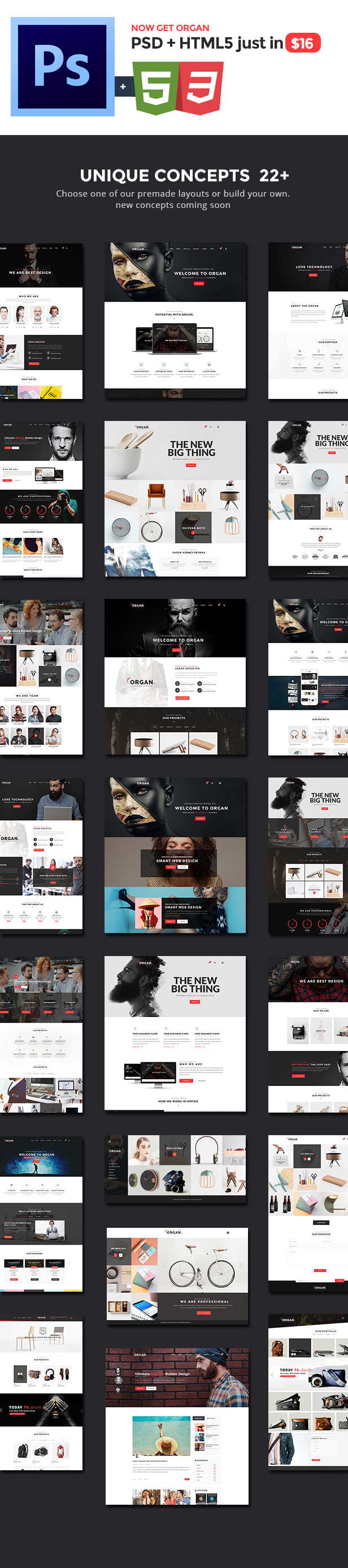 The Multi-Purpose Responsive HTML5 Template