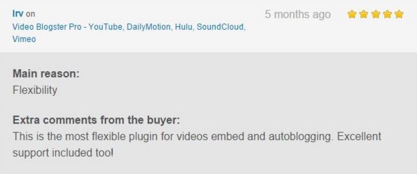 Video Blogster Pro - import YouTube videos to WordPress. Also DailyMotion, Spotify, Vimeo, more - 13