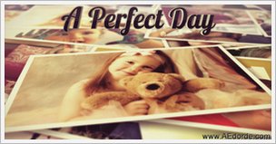 A Perfect Day