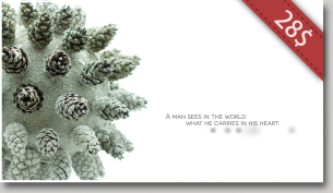 Clean Organic Titles - 5