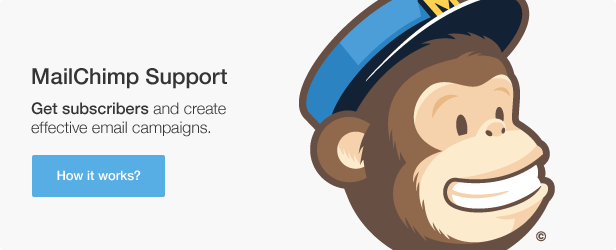 Mailchimp support