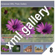 ADVANCED XML IMAGE GALLERY_v8