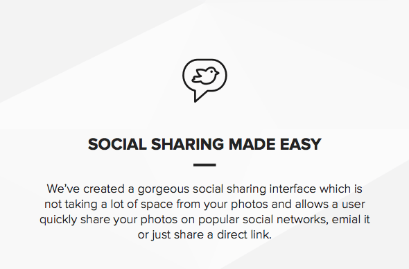 Tema para fotógrafos com compartilhamento social