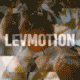21895154_3.gif