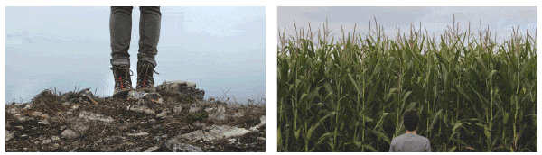 Transition Composer - 9