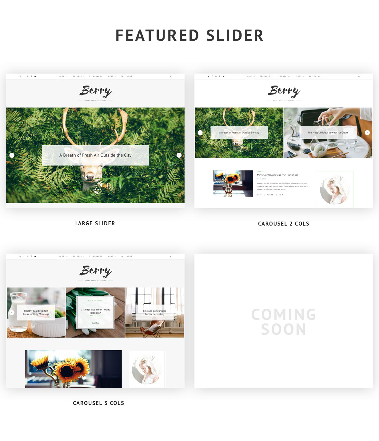 Featured Slider Styles